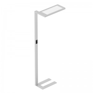 LEO-F Free-Standing Luminaire