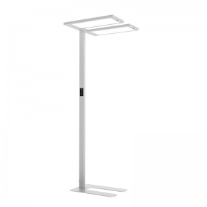 LEO-DF Free-Standing Luminaire